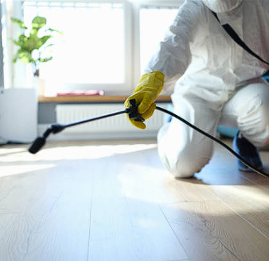 Termite Control