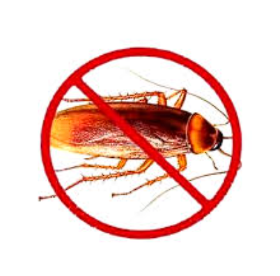 Cockroach Control